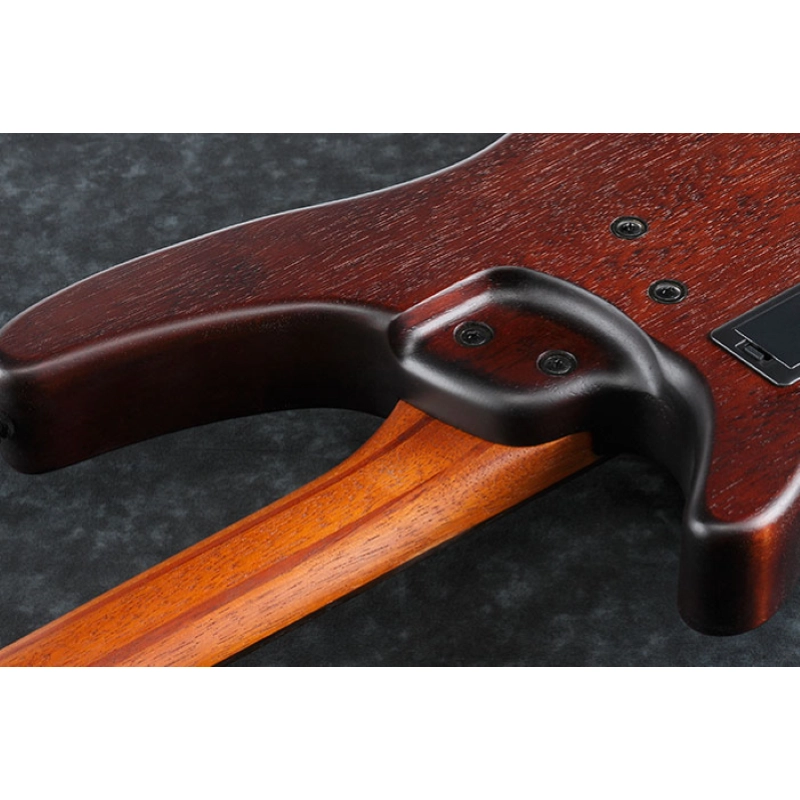 Ibanez SRH505FNNF Basso Freetless 5 corde finitura Natural Browned Burst Flat
