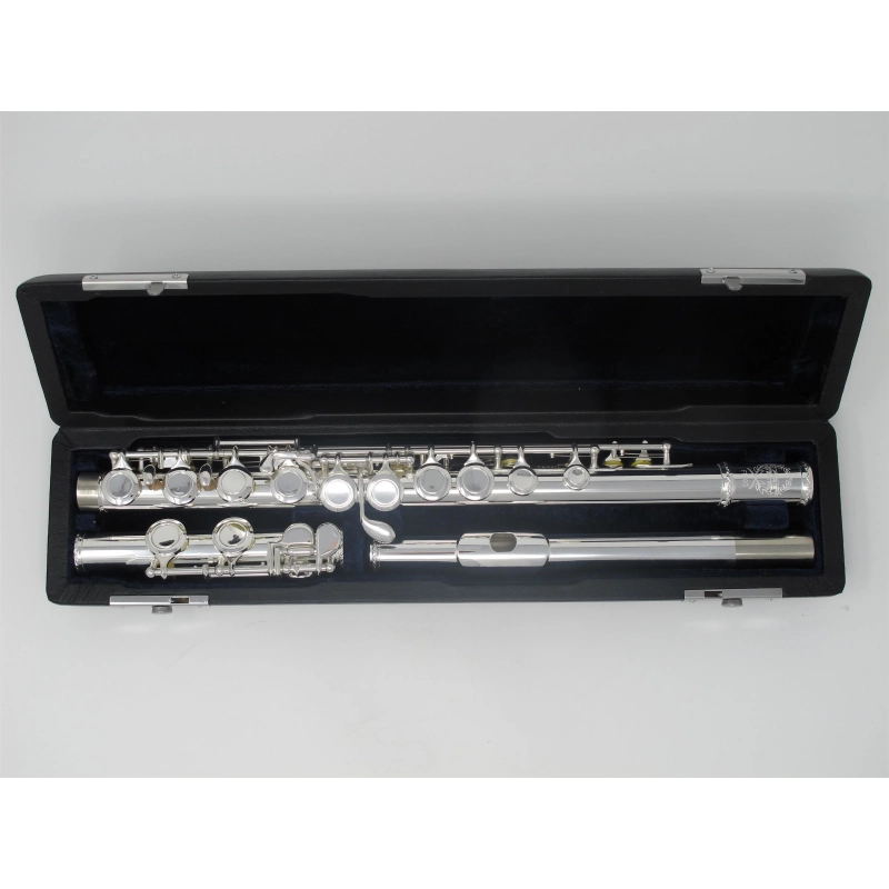 Florian FL100 Flauto Traverso Argentato Fori Chiusi Offset Mi Snodato