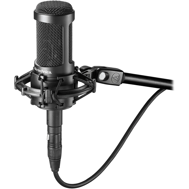 Audio Technica AT2035 Microfono Completo di Sospensione