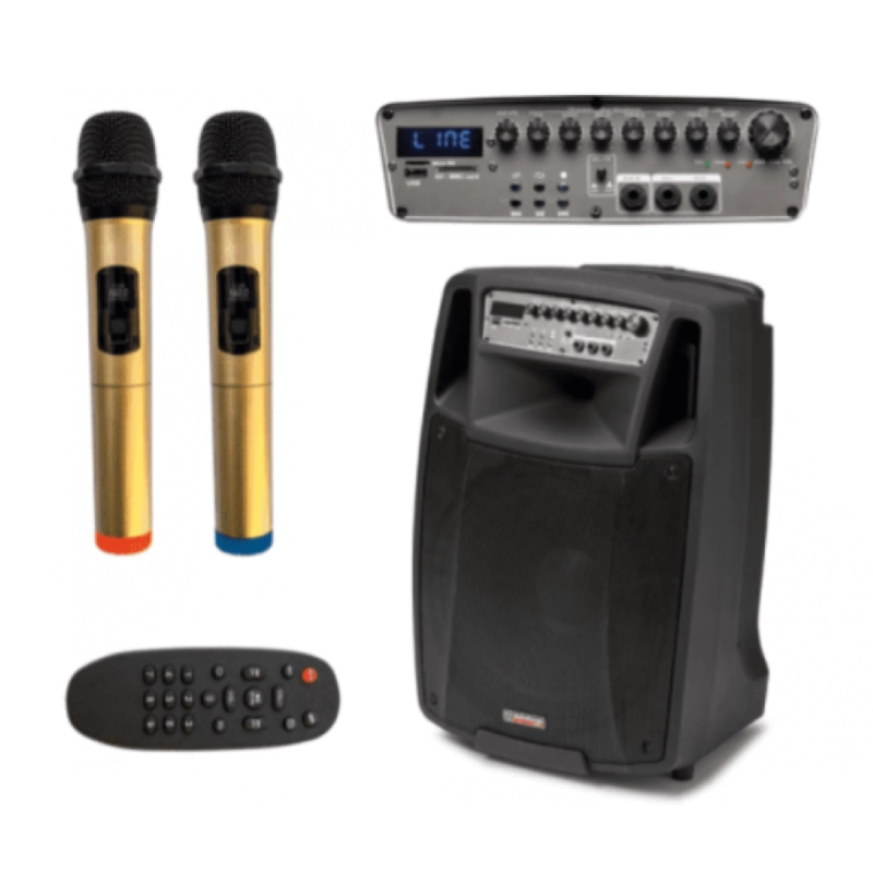 Audio Design M2 15W/L Diffusore auto alimentato con doppio radiomicrofono