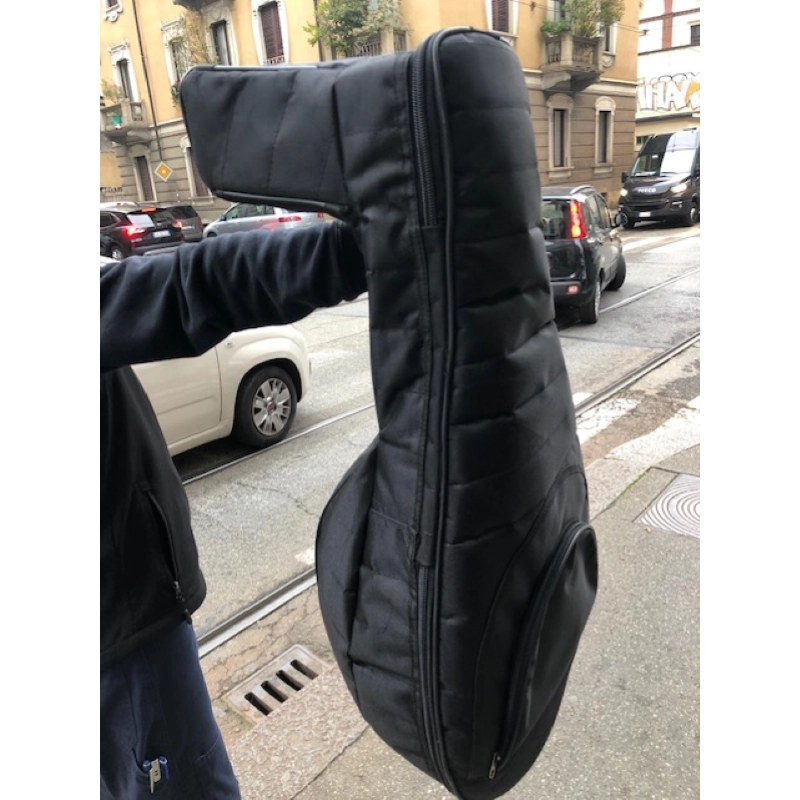 Liuto Rinascimentale 8 cori 15 corde Aquila, Body palissandro