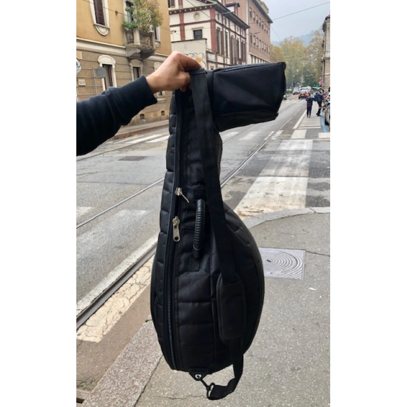 Liuto Rinascimentale 8 cori 15 corde Aquila, Body palissandro