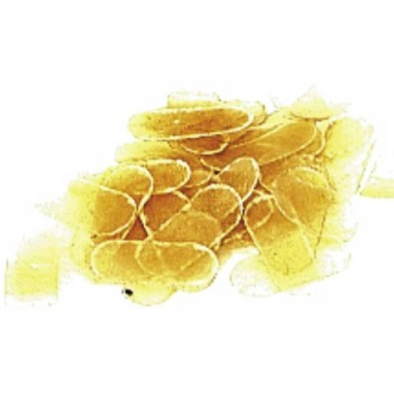 Pergamena protezione ponte violino/viola 4 pezzi