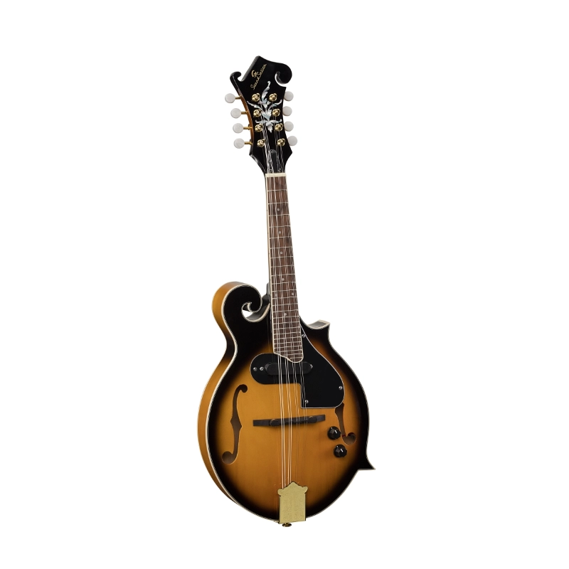 Mandolino BMA100ES bluegrass Kentoky Elettrificato, Soundsation