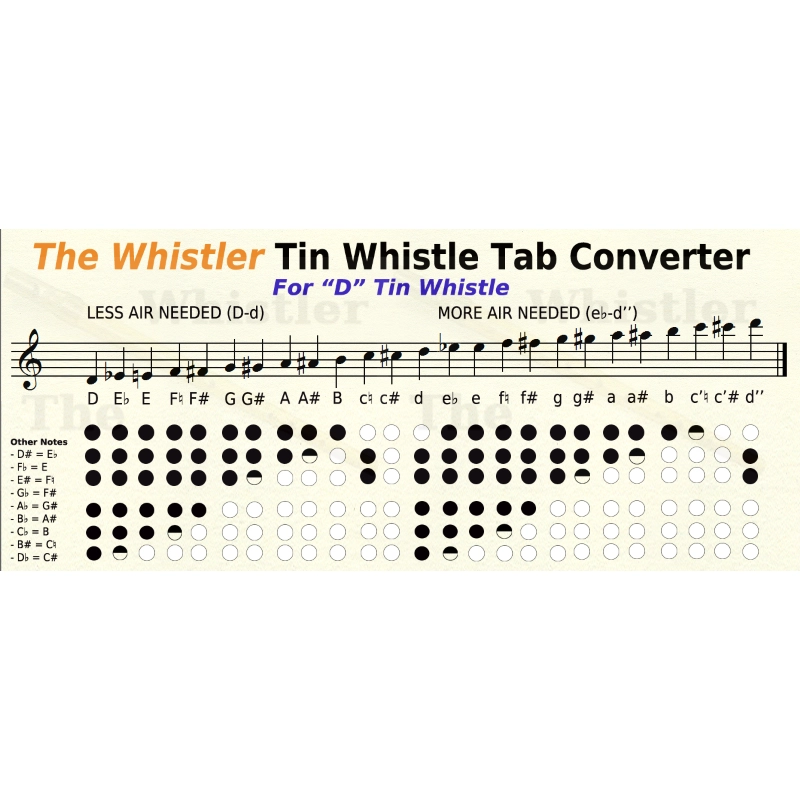 Flageolet Tin Whistle in Re (D) Flauto Metallo Irlandese