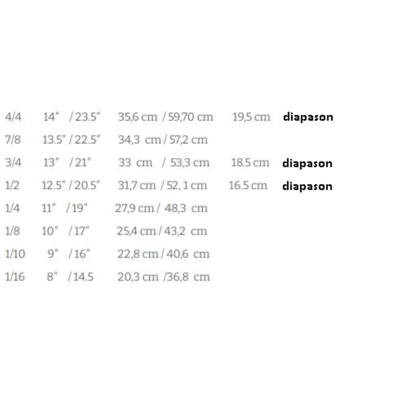 VIOLINO 4/4 BRUCK HD-V11 SOLID COMPLETO