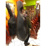 Astuccio Cello 4/4 Bruck-Gao 1029C Meteor