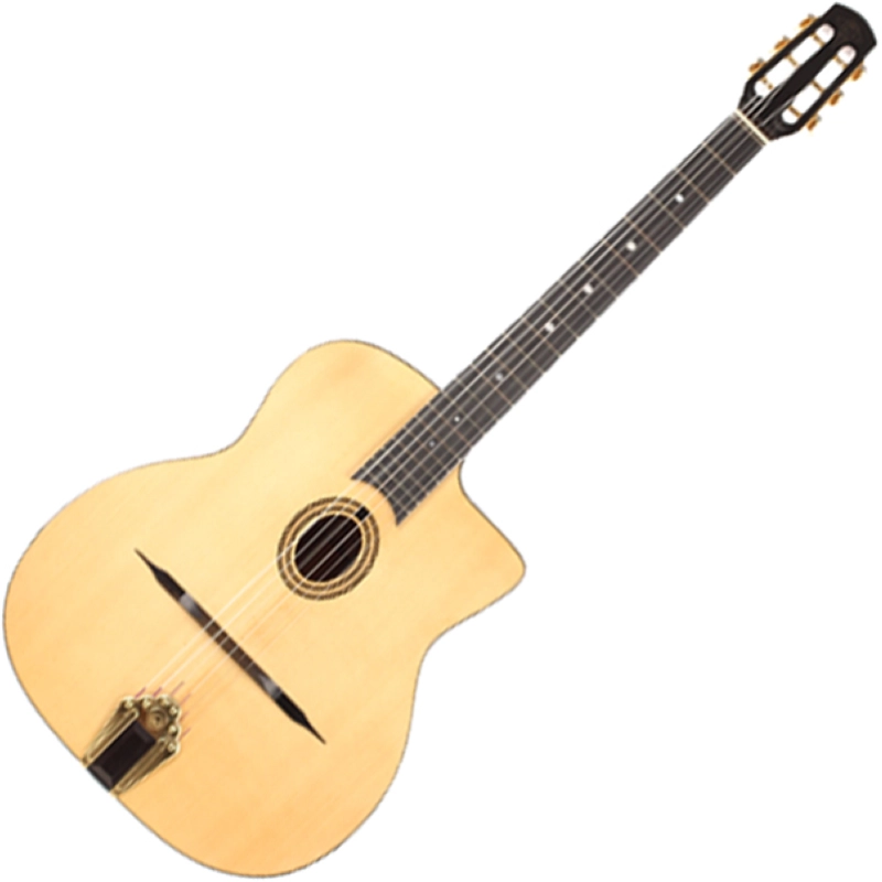 Altamira M10 Chitarra Gitane DJANGO Buca Piccola con custodia