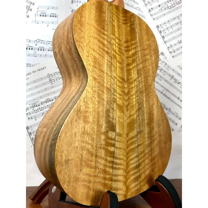 Kai KCI-30 Ukulele Concerto in Mango con borsa