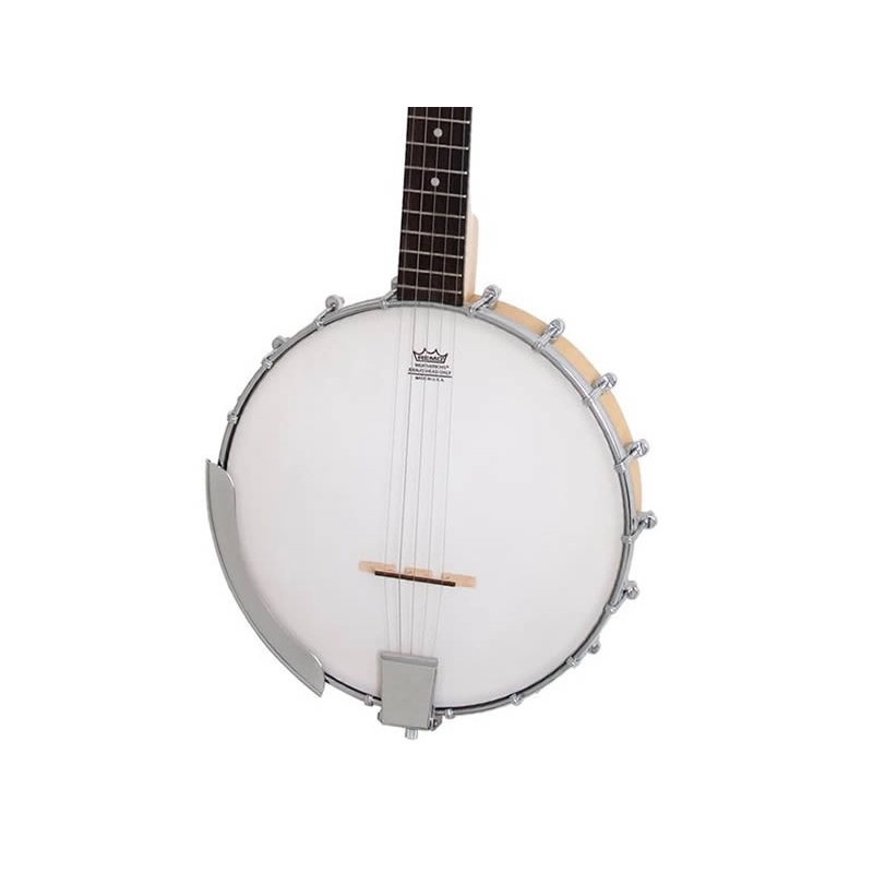 Epiphone MB100 Banjo 5 Corde EFB0NACH1