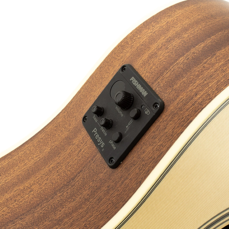 Goldwood Dreadnought 12 corde cutaway elettrificata GW-PS-DCE-12-NS