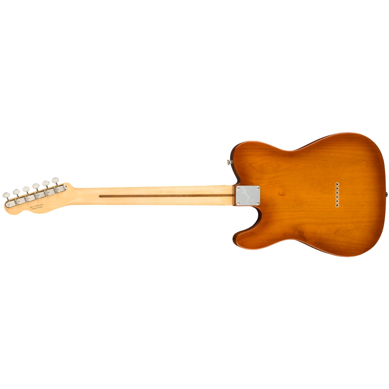 Fender American Performer Telecaster Honey Burst 0115110342