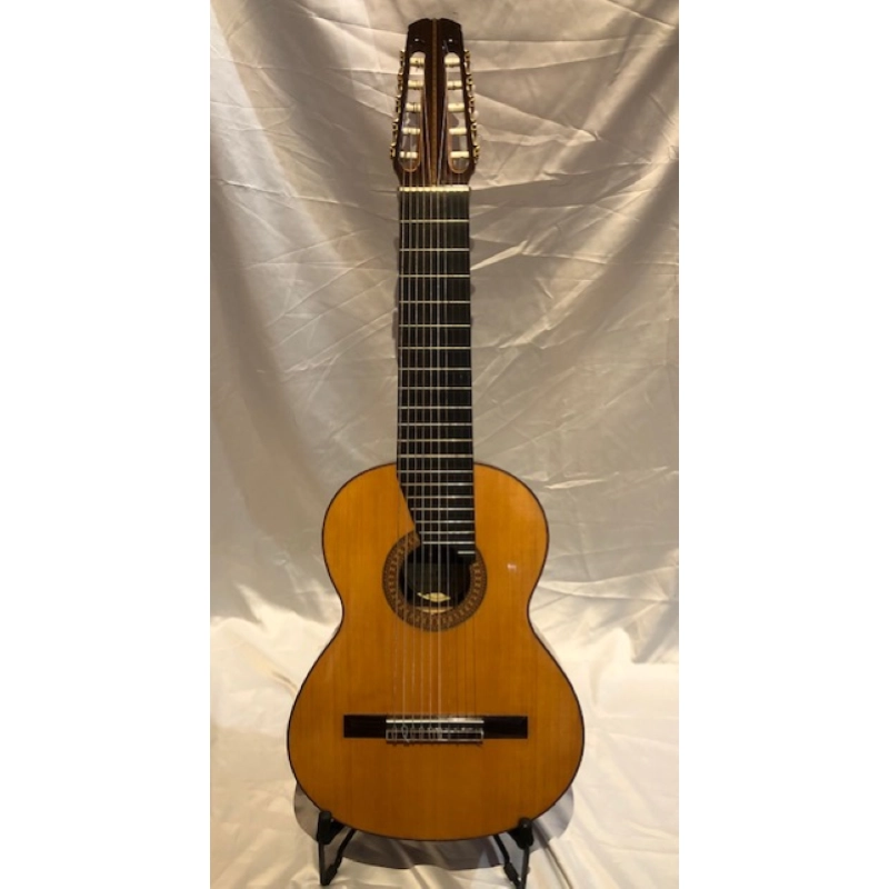 Chitarra 10 Corde Concerto Amigoni