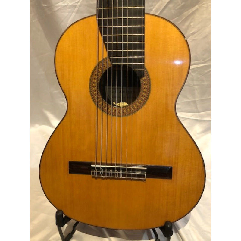 Chitarra 10 Corde Concerto Amigoni