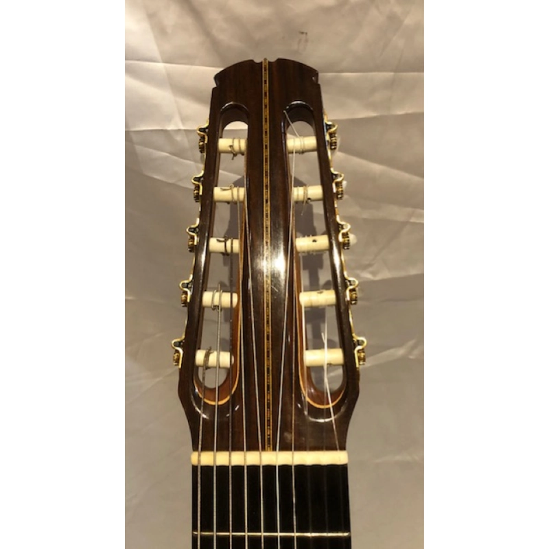 Chitarra 10 Corde Concerto Amigoni