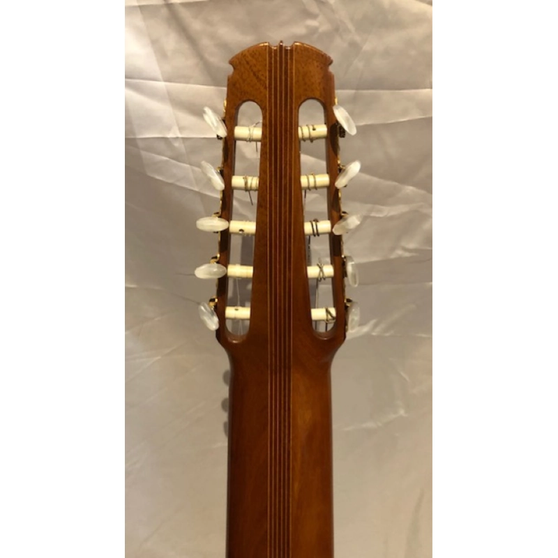 Chitarra 10 Corde Concerto Amigoni