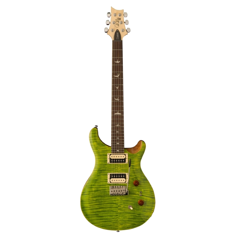 PRS SE Custom 24-08 Eriza Verde