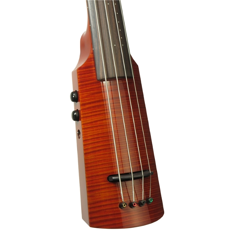 NS Design WAV4 Omni Bass Amberburst "PROMO" WAV4OB(EG)AB