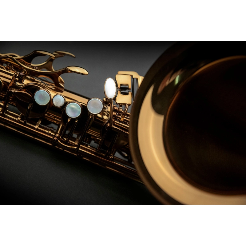 Rampone&Cazzani Performance Sax Tenore con Custodia