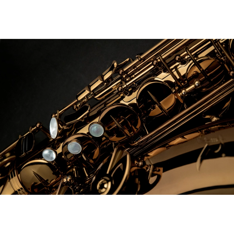 Rampone&Cazzani Performance Sax Tenore con Custodia
