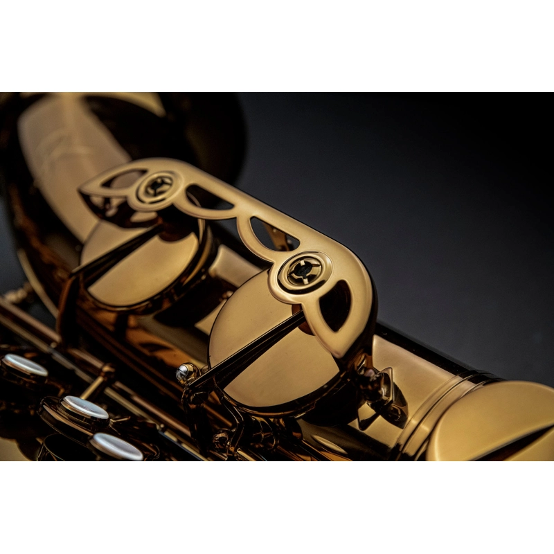 Rampone&Cazzani Performance Sax Tenore con Custodia