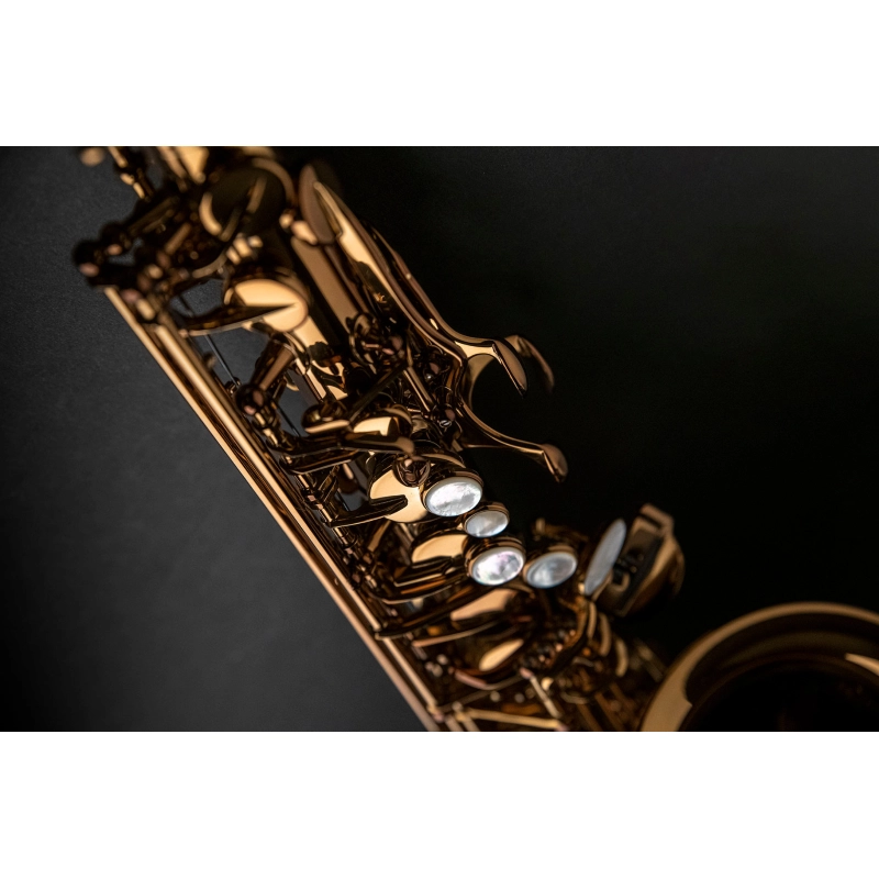 Rampone&Cazzani Performance Sax Alto Laccato