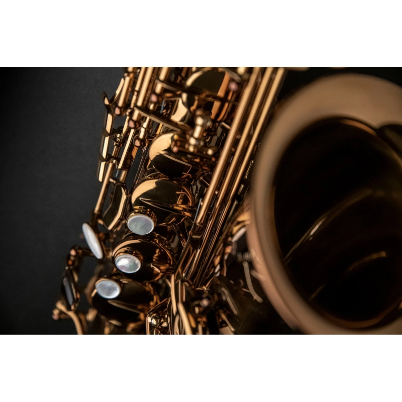 Rampone&Cazzani Performance Sax Alto Laccato