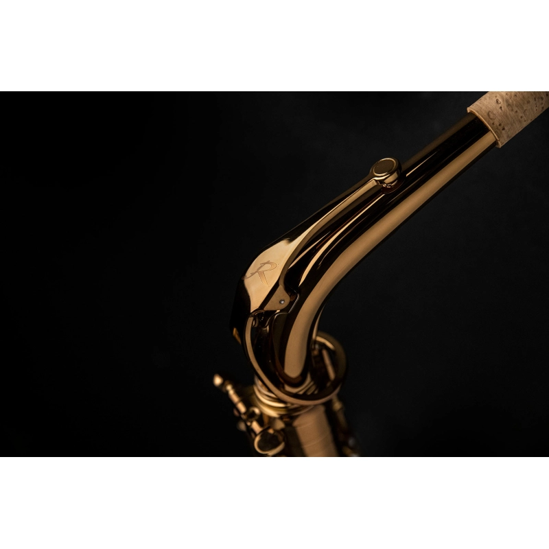 Rampone&Cazzani Performance Sax Alto Laccato