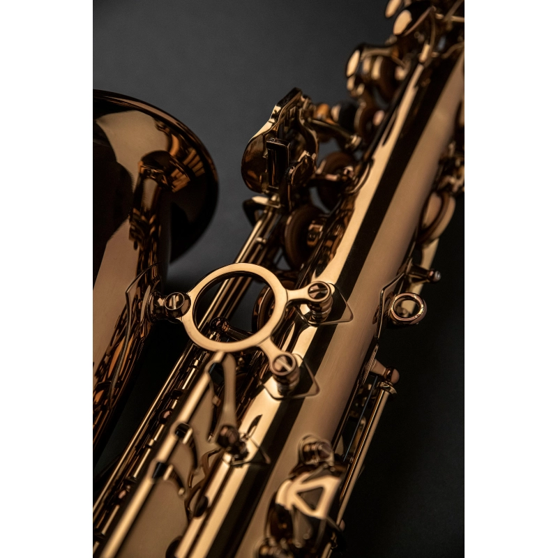 Rampone&Cazzani Performance Sax Alto Laccato