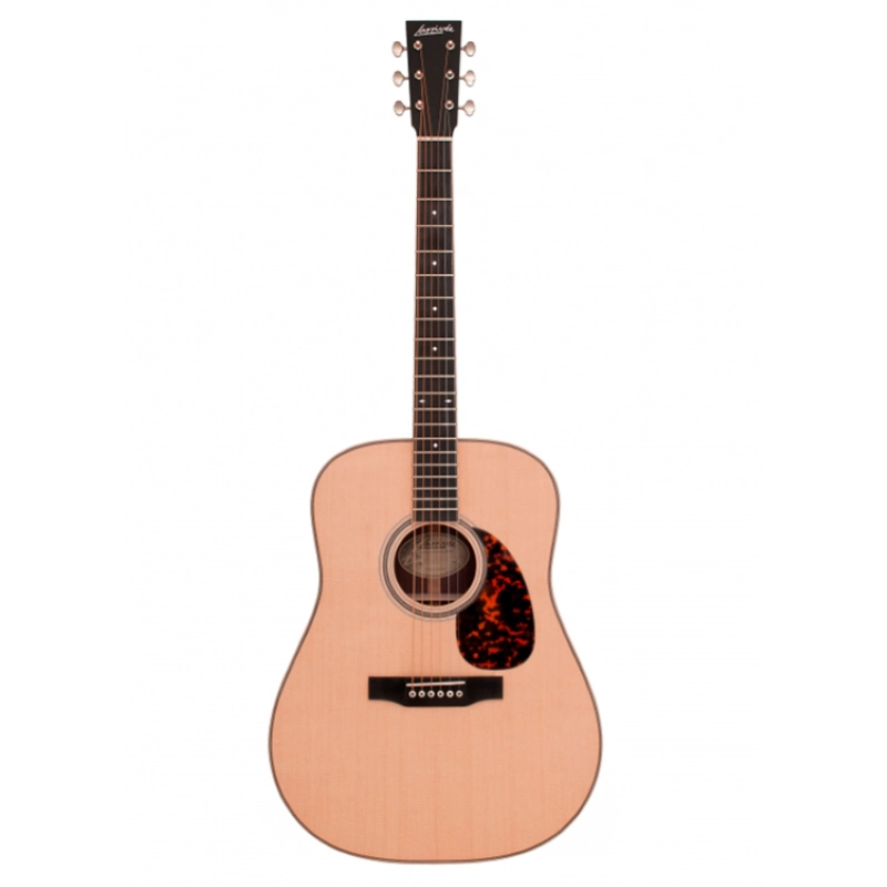 Larrivee D-40 Rosewood