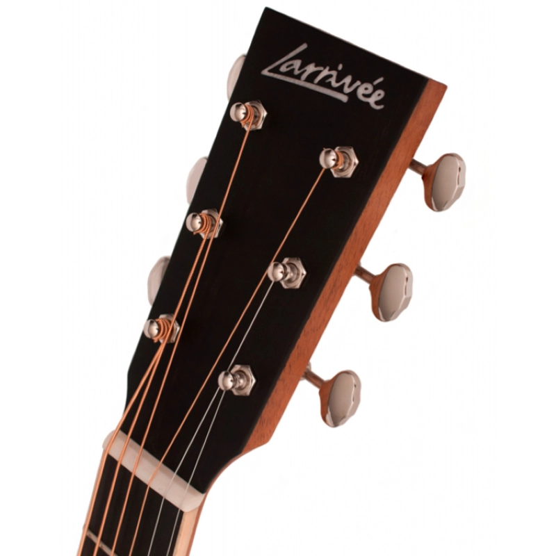 Larrivee D-40 Rosewood