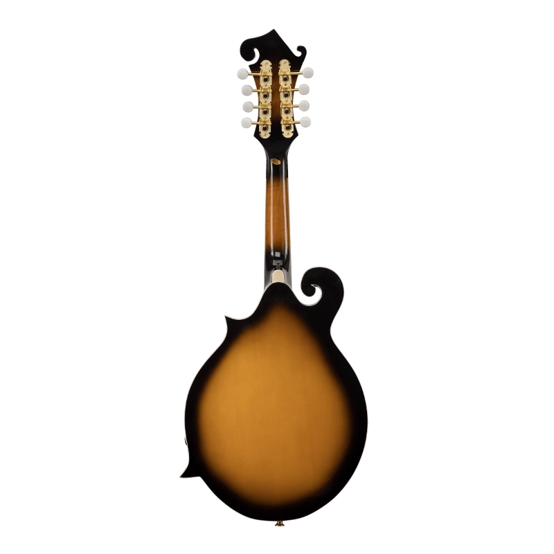 Mandolino BMA100ES bluegrass Kentoky Elettrificato, Soundsation