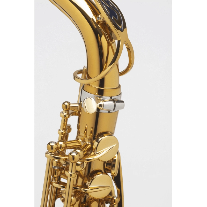 Selmer Supreme Sax Alto Laccato Inciso