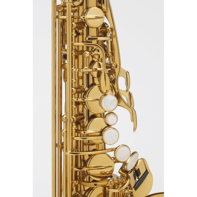 Selmer Supreme Sax Alto Laccato Inciso