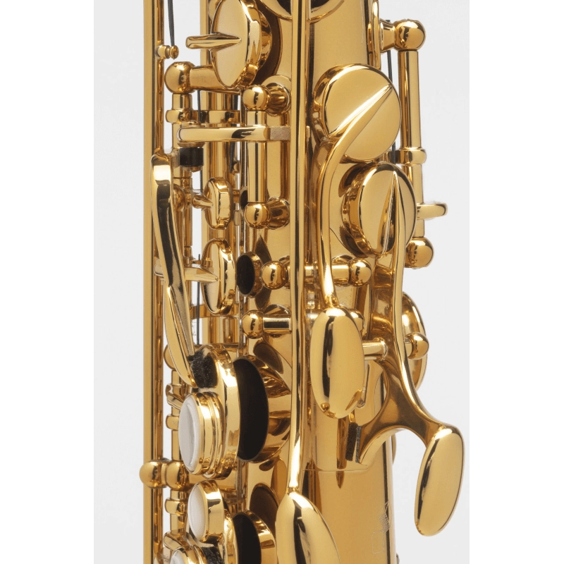 Selmer Supreme Sax Alto Laccato Inciso