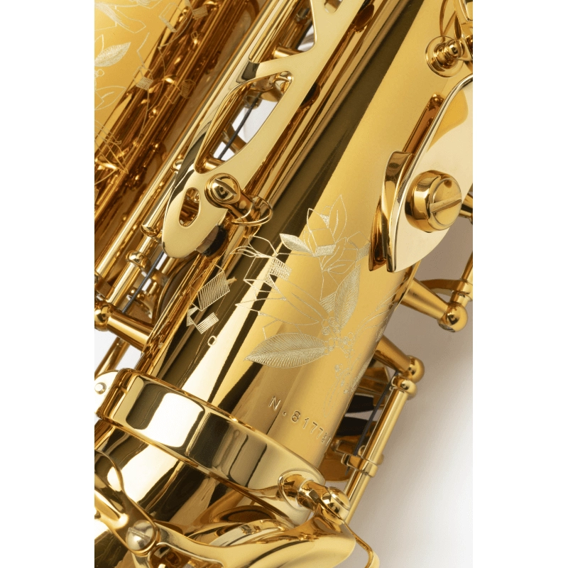 Selmer Supreme Sax Alto Laccato Inciso