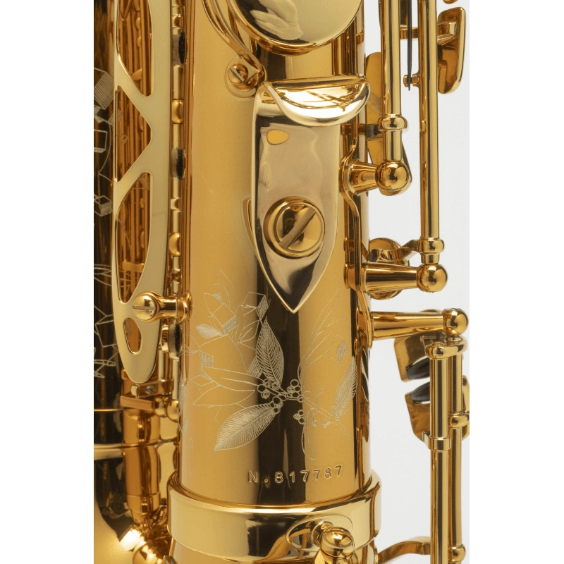 Selmer Supreme Sax Alto Laccato Inciso