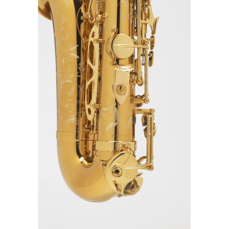 Selmer Supreme Sax Alto Laccato Inciso