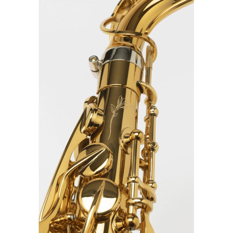 Selmer Supreme Sax Alto Laccato Inciso