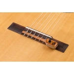 Kna NG2 Pickup per chitarra classica corde nylon con volume