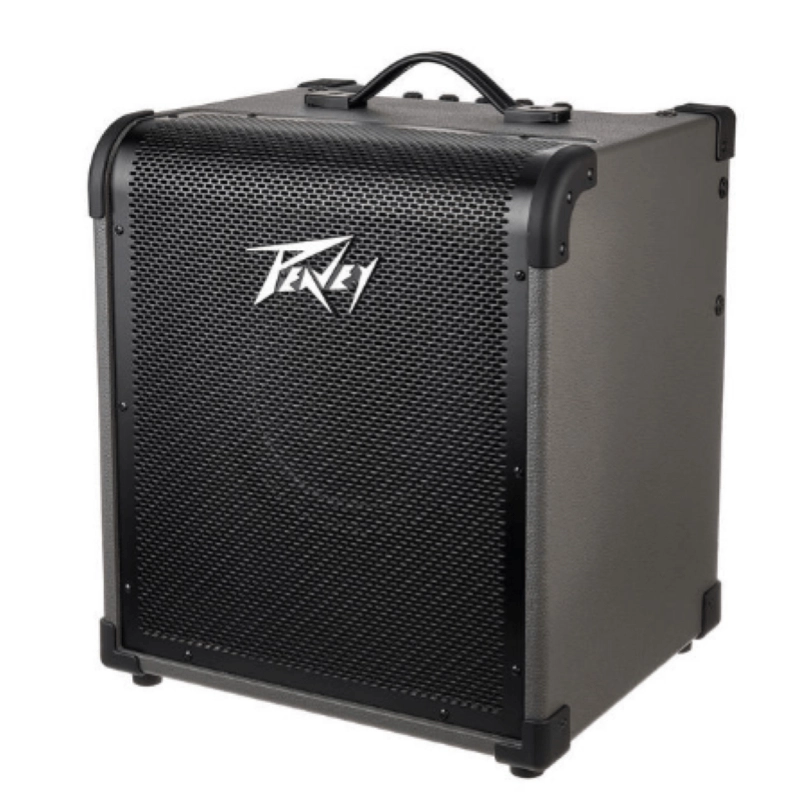Peavey MAX100 Amplificatore Combo per Basso