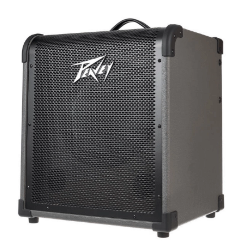 Peavey MAX100 Amplificatore Combo per Basso