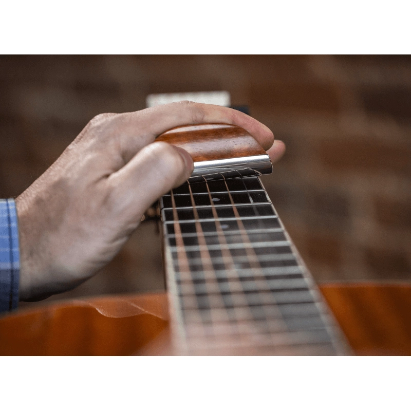 SHUBB GS1 SLIDE GUITAR STEEL