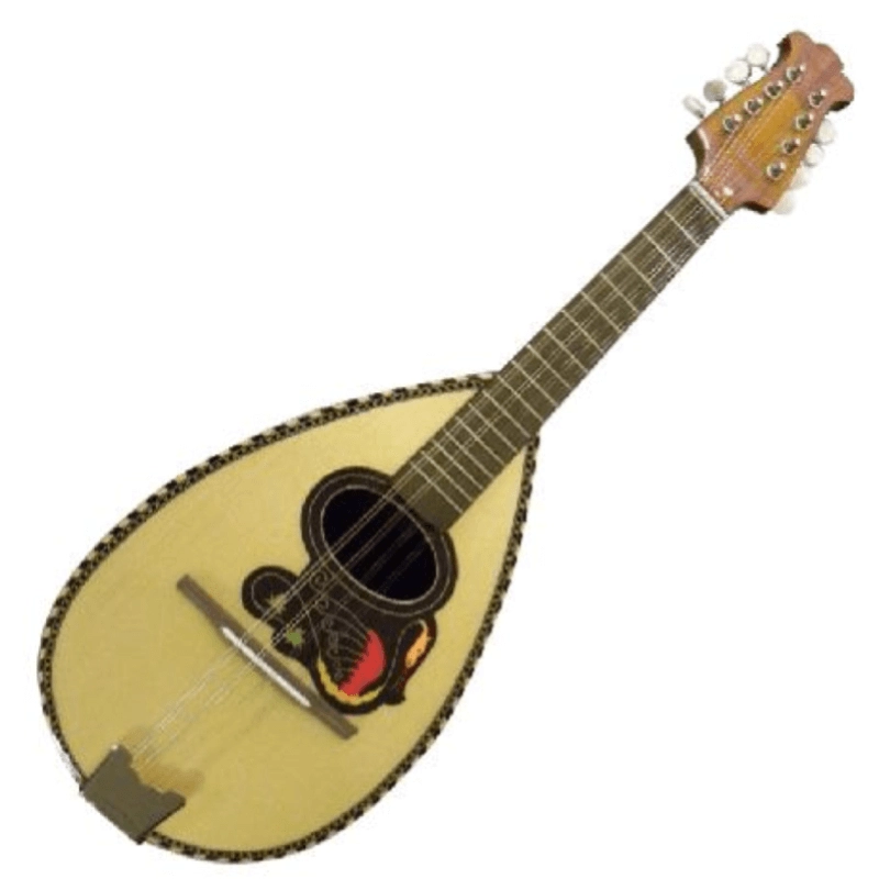 Mandolino napoletano Comet nr.5 da concerto