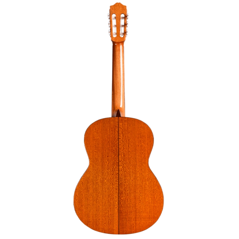 Cordoba Iberia C5 SP Top Abete