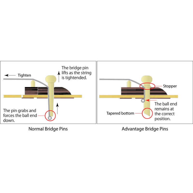 Ibanez AEG5012 BKH Black High Gloss Chitarra 12 corde elettrificata