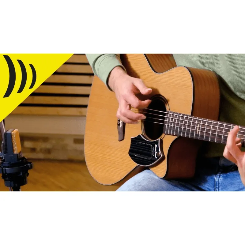 Schlagwerk SJ110 Z - SamJam Zebrano Tapping