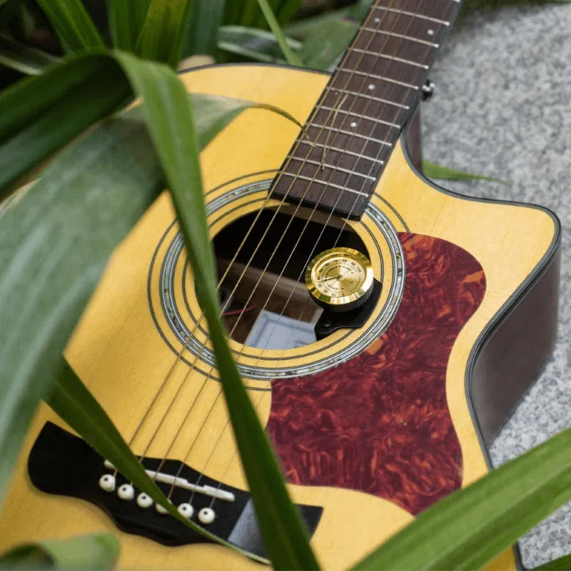 Joyo Guitto GHD01 Umidificatore Chitarra con Igrometro