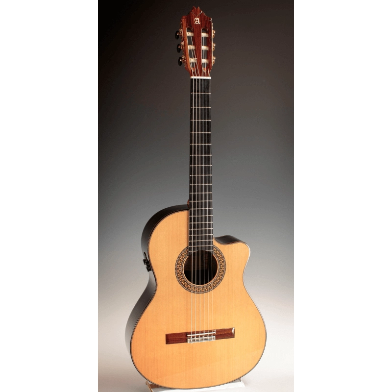 Alhambra 9P CW E8 chitarra elettro-classica con astuccio