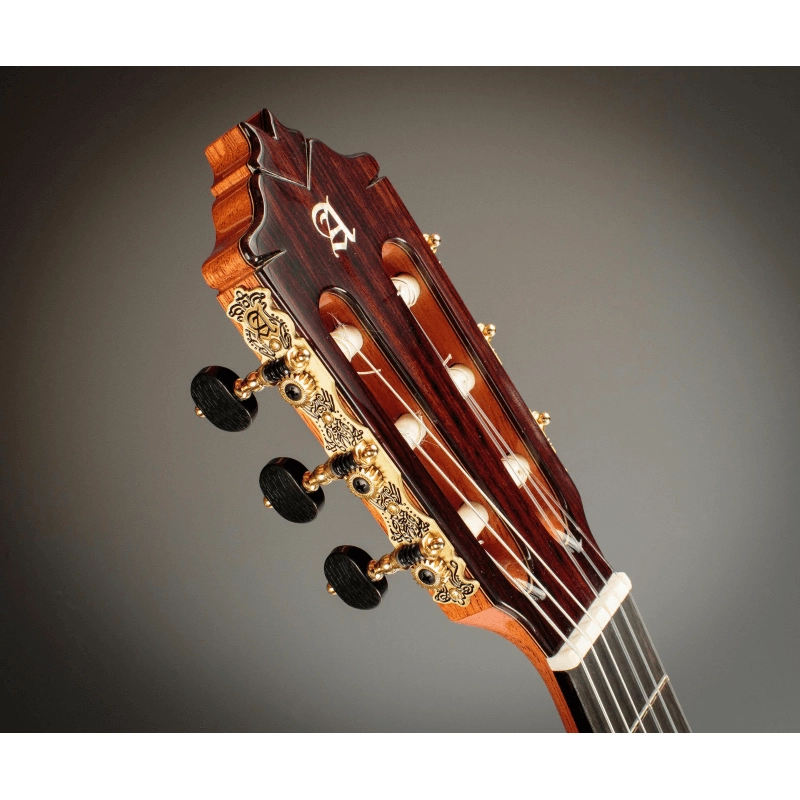 Alhambra 9P CW E8 chitarra elettro-classica con astuccio